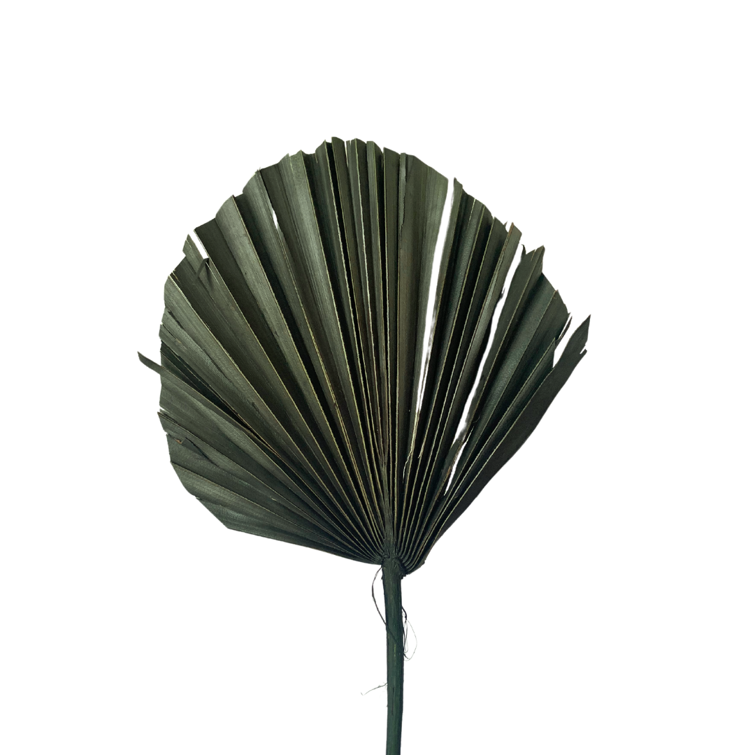 Dried Palm Leaf - Round Cut - Dark Green