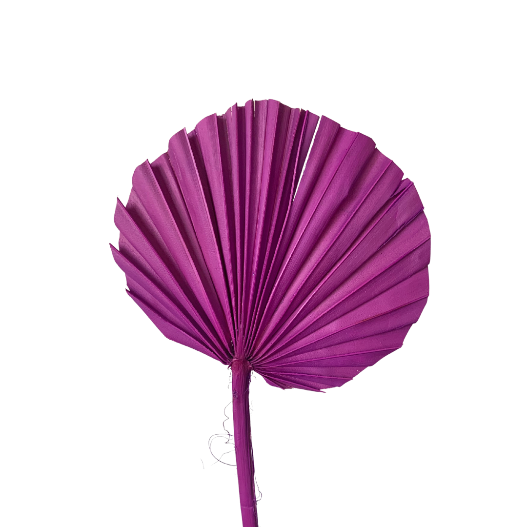 Dried Palm Leaf - Round Cut - Purple