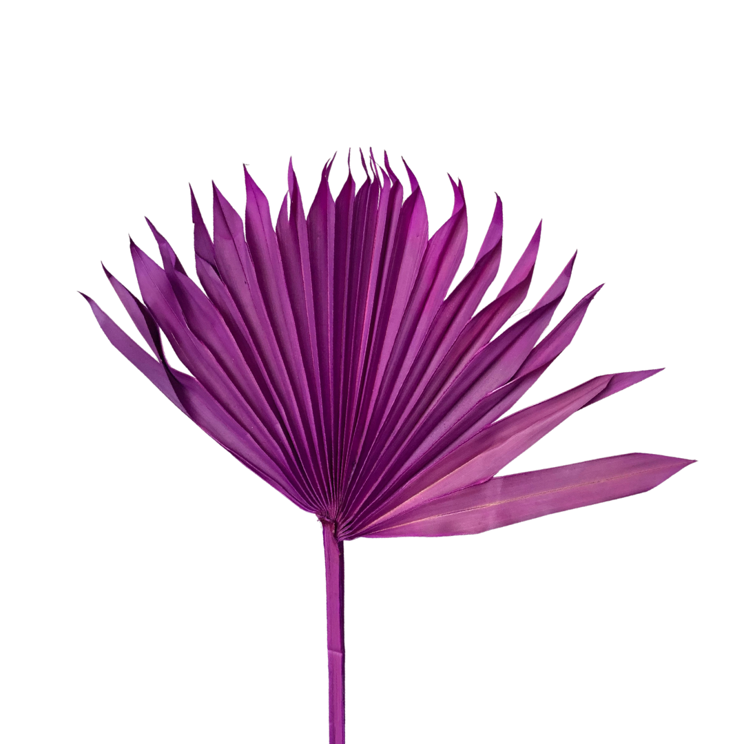 Dried Palm Leaf - Sun Cut - Purple