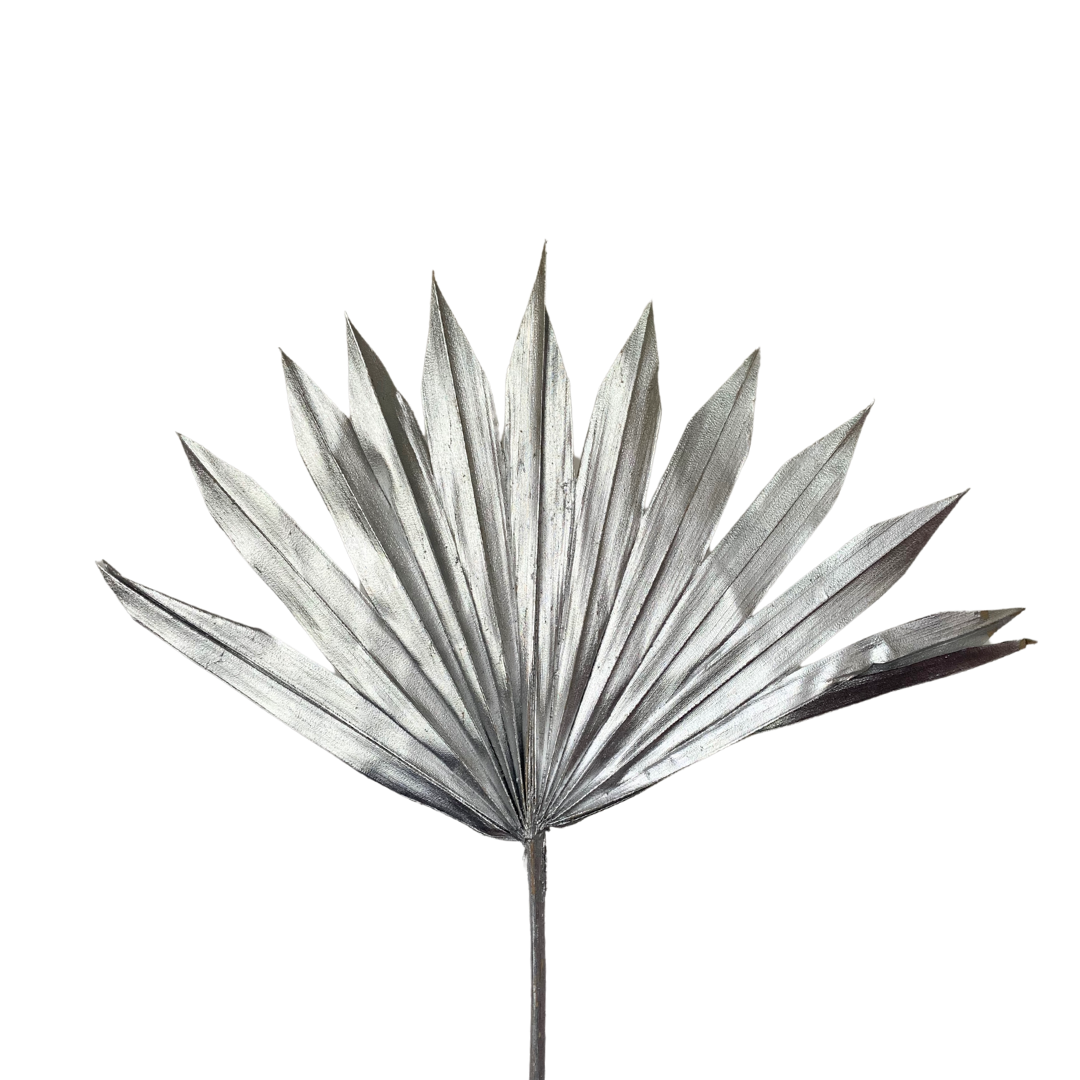 Dried Palm Leaf - Sun Cut - Silver