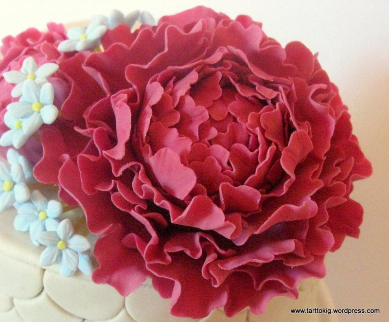 Cake Craft Peony Cutter and Veiner Set